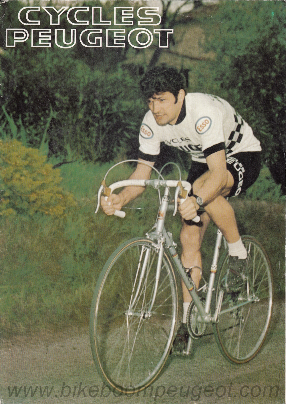 Peugeot 1977 UK Brochure